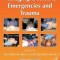 Managing Obstetric Emergencies and Trauma: The MOET Course Manual