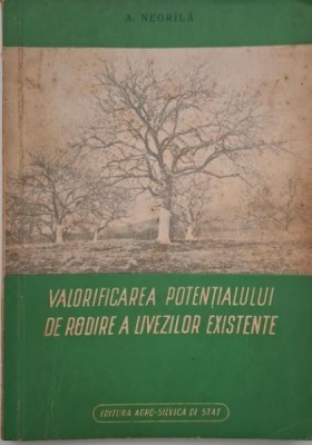 Valorificarea potentialului de rodire a livezilor existente - A. Negrila foto