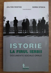 Istorie la firul ierbii Documente sociale orale/ Sorin Stoica, Zoltan Rostas foto