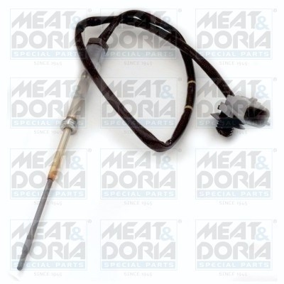 MEAT &amp;amp; DORIA 12172 Senzor, temperatura gaze evacuare foto