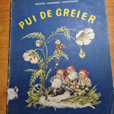 carte pentru copii - PUI DE GREIER - din anul 1965