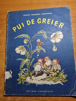 carte pentru copii - PUI DE GREIER - din anul 1965 foto