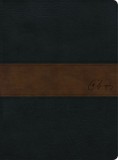 Rvr 1960 Biblia de Estudio Spurgeon, Negro/Marr
