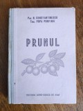 Prunul - Prof. N. Constantinescu / R5P2S, Alta editura