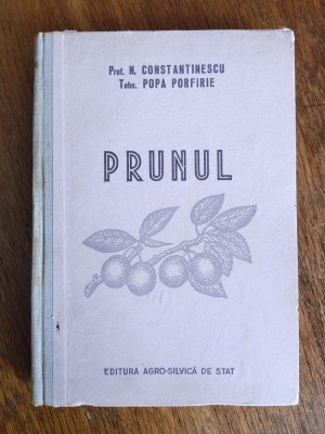 Prunul - Prof. N. Constantinescu / R5P2S foto