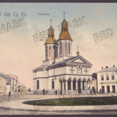 5401 - TARGU-JIU, Gorj, Cathedral, Romania - old postcard - used - 1912