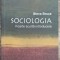 Sociologia, foarte scurta introducere