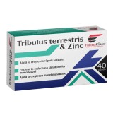 Tribulus Terrestris Zinc, 40 capsule, FarmaClass, FARMA CLASS INDUSTRY
