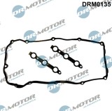 Garnitura, Capac Supape 313688 DRM0135