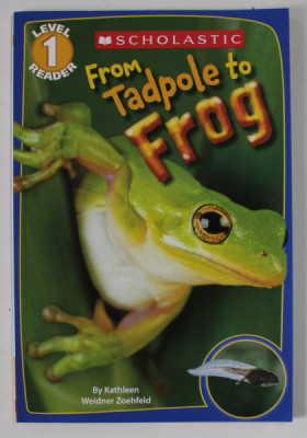 FROM TADPOLE TO FROG by KATHLEEN WEIDNER ZOEHFELD , LEVEL 1 READER , 2011 foto