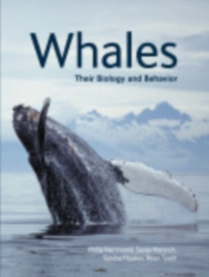 Whales: Their Biology and Behavior foto