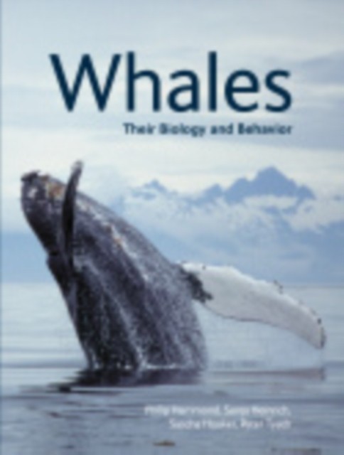 Whales: Their Biology and Behavior