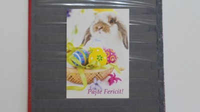 ROMANIA - FELICITARE DE PASTE - IEPURAS CU COS DE OUA COLORATE - SCRISA. foto