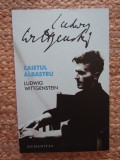 Ludwig Wittgenstein - Caietul albastru