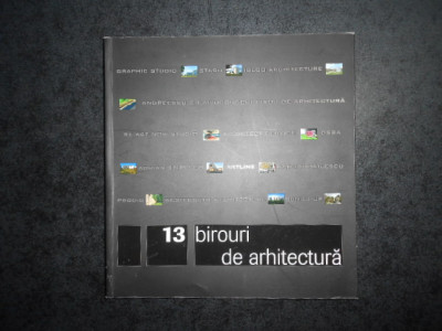 13 BIROURI DE ARHITECTURA. ARHITECTURI VAZUTE PRIN IGLOO (2008) foto