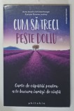 CUM SA TRECI PESTE DOLIU , CARTE DE CAPATAI PENTRU A TE BUCURA IARASI DE VIATA de ANNE ANCELIN SCHUTZENBERGER si EVELYNE BISSONE JEUFROY , 2019
