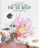 Aventurile unui fir de nisip - Anamaria Lembrau