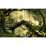 Fototapet Encahnted Forest