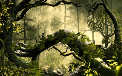 Fototapet Encahnted Forest foto