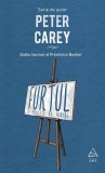 Furtul Peter Carey - Art