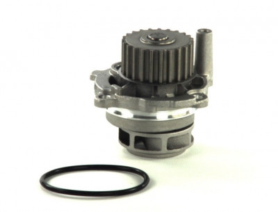 Pompa apa VW POLO CLASSIC (6KV2) (1995 - 2006) THERMOTEC D1W028TT foto