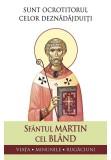 Cumpara ieftin Sunt ocrotitorul celor deznadajduiti. Viata, minunile, rugaciuni
