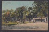 Carte Postala - Romania Lacu Sarat Braila - Parcul