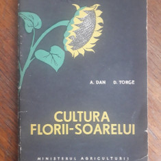 Cultura Florii Soarelui - A. Dan / R8P3F