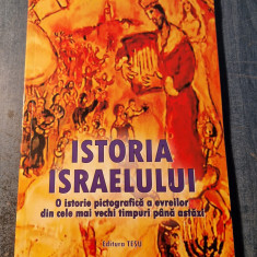 Istoria Israelului o istorie pictografica a evreilor