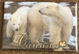 D3 - Magnet frigider - tematica turism - Canada 2