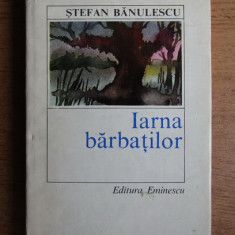 Stefan Banulescu - Iarna barbatilor