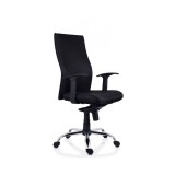 Scaun directorial Texas