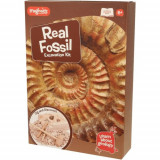 Kit paleontologie - Descopera fosile