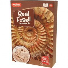 Kit paleontologie - Descopera fosile foto