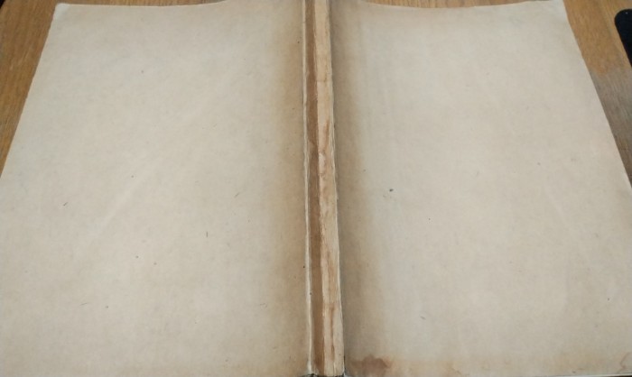 ROMANIA IN CHIPURI SI VEDERI - N. Iorga (prefata) - Editura &quot;Cultura Nationala&quot;, 1926 228 p. cu ilustrati si planse in text