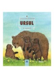 Cumpara ieftin URSUL- Animale salbatice &icirc;n natura