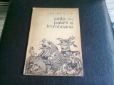 PIATA CU PALARII SI TROMBOANE - TRAIAN FILIP