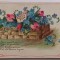 Carte Postala , Franta, Bonne Fete