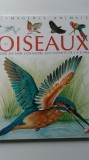 Les Oixeaux - Pour le faire connaitre aux enfants de 5 a 8 ans (5+1)3