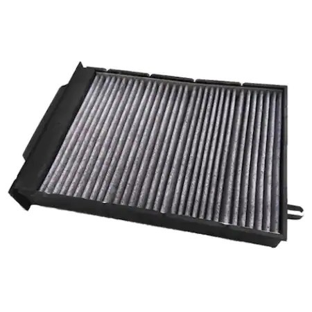 Filtru polen Renault carbon activ 7701064235
