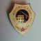 QW9 K 53 - Insigna - tematica comunism - inspector in constructii - fosta URSS