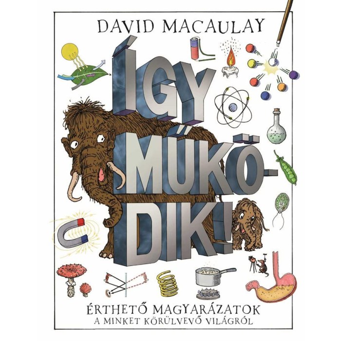 &Iacute;gy műk&ouml;dik! - David Macaulay