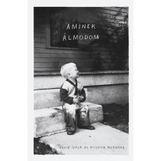 Aminek &aacute;lmodom - David Lynch