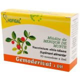 GEMODERIVAT MLADITE MERISOR DE MUNTE 2ML*30MDZ