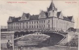 CP Timisoara Temesv&aacute;r Palatul Ancora Horgony ND(1916), Circulata, Fotografie