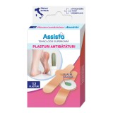 Cumpara ieftin Plasturi antibataturi, 12 bucati, Assista