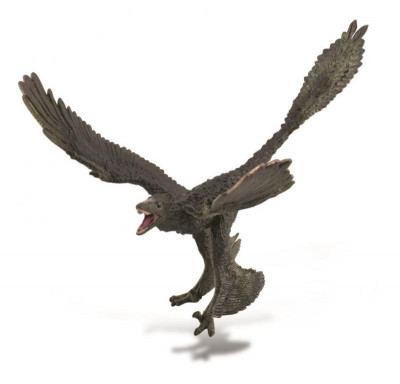 Figurina dinozaur Microraptor pictata manual XL Collecta foto