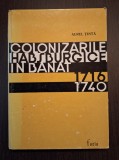 COLONIZARILE HABSBURGICE IN BANAT 1716-1740 - AUREL TINTA