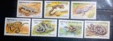 Kyrgyzstan 1996 șerpi , șop&acirc;rle, fauna , animale serie 7v. Neștampilată