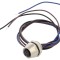 Conector M12 EPIC&reg; M12 FEAF3F-0.5-M16
